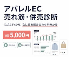 アパレルECの売れ筋・併売傾向をAIで診断します 注文CSVから売れ筋とセット販売候補を見える化