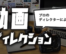 プロのディレクターが動画を編集・制作します イメージ1