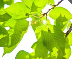 あなたの友達になります。 イメージ1