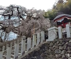 色々な悩みに対応します イメージ1