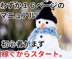 副業初心者さんがお家完結で稼ぐ方法教えます わずか１６ページのマニュアルの簡単作業であとは待つだけ