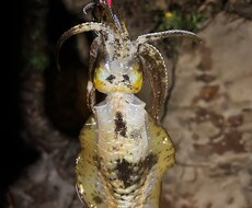 釣りを始めたい方へのアドバイスします イメージ1