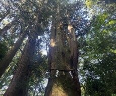 あなた様の悩み 恋愛仕事対人 どんな話でも聞きます イメージ1