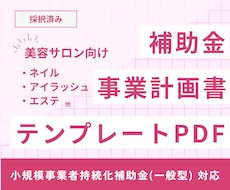 美容サロン向け補助金事業計画書テンプレ販売します 自作計画書で採択した経験をもとに作成