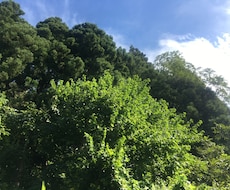 貴方の心に寄り添いお話を聞きます イメージ1