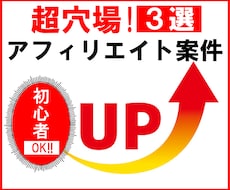 超穴場アフィリエイト案件3選教えます 初心者OK！！お小遣い稼ぎ・副業・アフィリで生計を立てたい