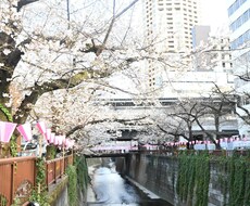 20代後半向け｜恋愛のモヤモヤ、じっくり聞きます イメージ1