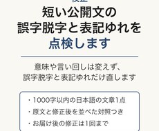 校正◆短い公開文の誤字脱字と表記ゆれを点検します イメージ1
