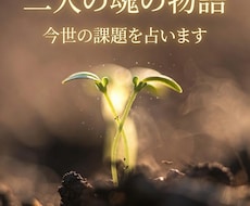 三界命術で占います 総合的な相性、お二人の魂の物語、今世の課題についてお話します