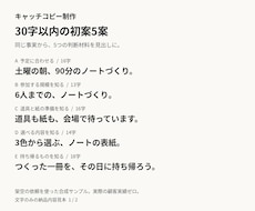 事実に沿った短いキャッチコピーを5案作ります イメージ1