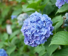 先着10名様値下げ！写真をエモ写真にレタッチします イメージ1