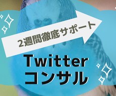徹底的に！2週間Twitterコンサルします プロのプロフィール文作成付き！短期集中で実力アップ！