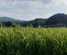 まずは現状維持！！ちょっとだけお供します イメージ1