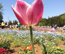 お話相手になります イメージ1