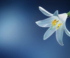 プロの提案★介護の悩みを解消します イメージ1
