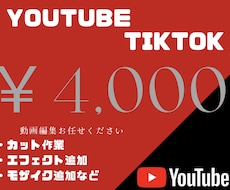 YouTube用動画をカット・字幕編集します イメージ1