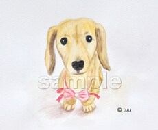 ペットの似顔絵を水彩色鉛筆で描きます 記念やプレゼントにもオススメ！