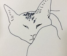 色んな猫　描きます イメージ1