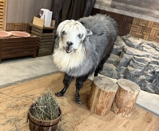 雑談・愚痴・相談なんでもお聞きします イメージ1