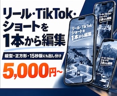 リール・TikTok・ショート動画を編集します イメージ1