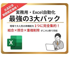 Excel自動化3大ツールをまとめて提供します 実務の神機能を完全集約！図解説明書付きで即導入