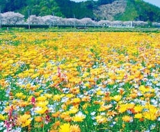 あなたの気持ちなんでも聞きます イメージ1