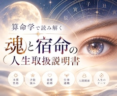 魂と宿命の人生取扱説明書を作ります イメージ1