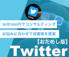 30分でTwitterでの集客ノウハウを教えます 1万フォロワー獲得実績あり！フォロワーUPから投稿改善まで！