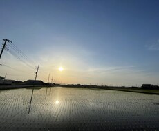 あなたのご両親の状況を確認します イメージ1