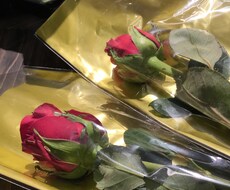 なんでも相談のります イメージ1