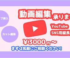 YouTube用、SNS用等の動画編集します イメージ1