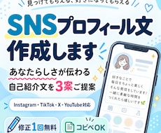 SNSプロフィール文を作成します イメージ1