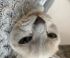 なんでも相談乗のります イメージ1