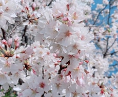 気軽に♡今すぐどうぞ！1日一緒に過ごします イメージ1