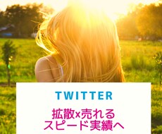 2週間ツイッター集客＆収益アップのコンサルします SNSマーケティング・フォロワー数アップで徹底サポート