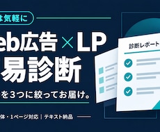 Web広告とLPの改善点を簡易診断します イメージ1