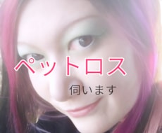 ペットロスの悲しみ伺います イメージ1