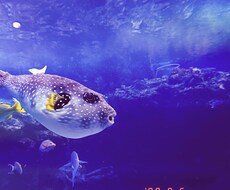 沢山のお話を聞きたいと思います イメージ1