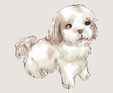 動物イラストを描きます イメージ1