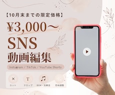 10月末まで3,000円！ショート動画を作成します イメージ1