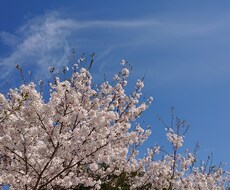 あなたの愚痴や誰にも言えない話し、傾聴します イメージ1