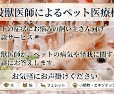 現役獣医師が、ペットの病気についてご相談に応じます イメージ1
