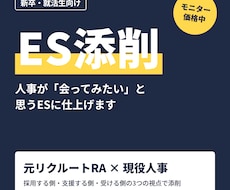 現役人事×元リクルートRAがESを添削します 大手飲食・通信・BIG4コンサル内定者を支援 人事目線で添削