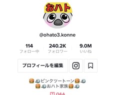 フォロワー２４万人の僕が個人コンサルします TikTokの個人コンサルの詳細はビデオチャットで！！
