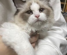 とにかく話を聞いて欲しい人、待ってます イメージ1