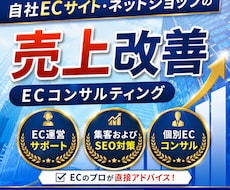 自社ECサイト運営をコンサルティングいたします 豊富な経験を持つEC専門家がECサイト運営の悩みを解決！