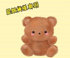 銀貨様専用でございます 専用ページになりますのでご了承ください！