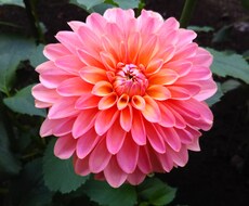 モヤモヤ溜まっていませんか？そのストレス解消します イメージ1