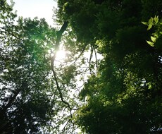 悩み事に必要なメッセージをお伝えしますます イメージ1