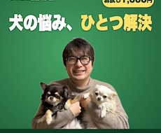犬の悩みをひとつだけ｜プロが本音でお答えします 毎日のちょっとした「？」を、プロがすっきり整理します。